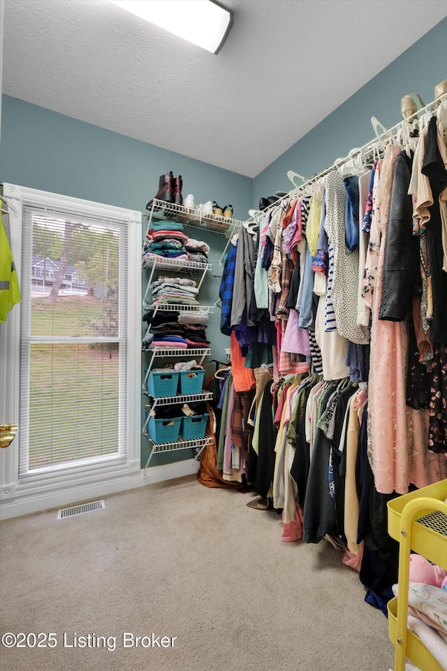 302 Hampton Rd, Brandenburg, KY 40108 - walk in closet featuring carpet and visible vents