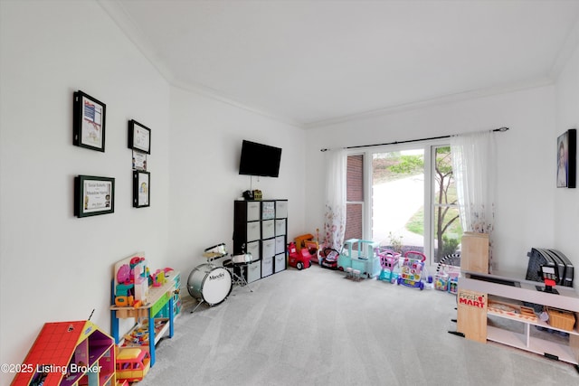 302 Hampton Rd, Brandenburg, KY 40108 - playroom featuring ornamental molding and carpet