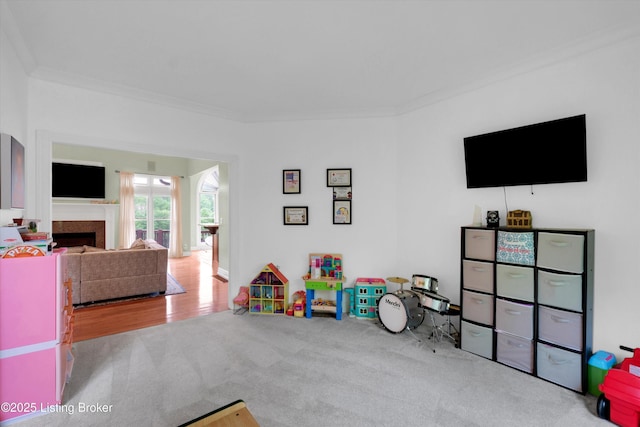 302 Hampton Rd, Brandenburg, KY 40108 - rec room with ornamental molding, carpet, and a fireplace