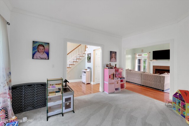 302 Hampton Rd, Brandenburg, KY 40108 - recreation room with crown molding, carpet flooring, wood finished floors, and a fireplace