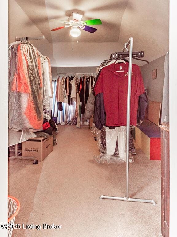 656 S 39th St, Louisville, KY 40211 - walk in closet with carpet floors and ceiling fan