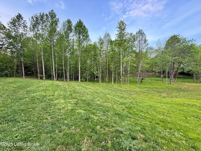 2045 W Rhudes Creek Rd, Elizabethtown, KY 42701 - view of yard