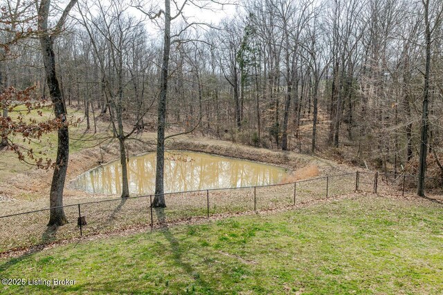 80 Blaine Ct, Brandenburg, KY 40108 - photo 57