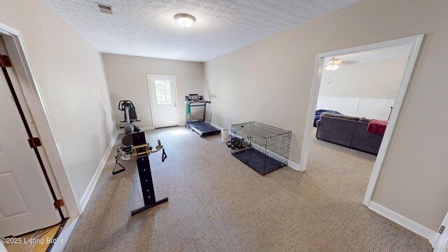 80 Blaine Ct, Brandenburg, KY 40108 - photo 40