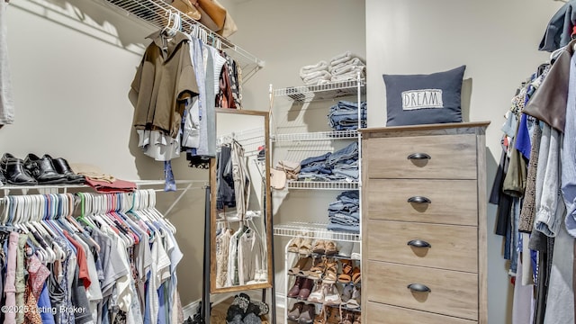 157 Tommy Ct, Shepherdsville, KY 40165 - view of spacious closet