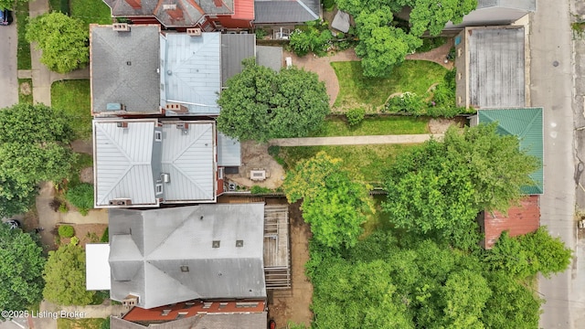 bird's eye view