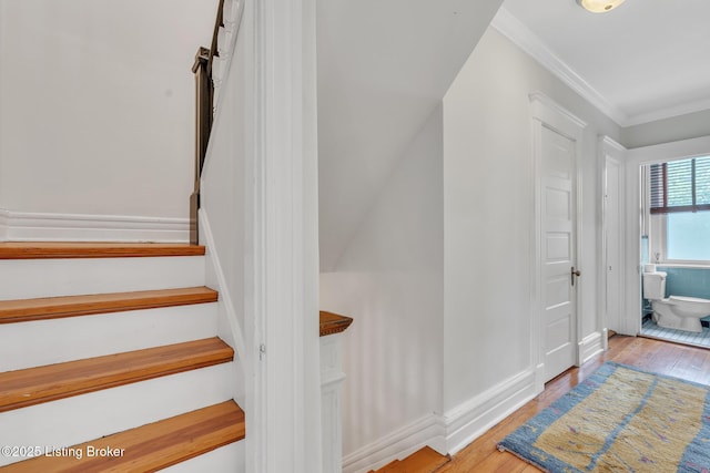 staircase with wood-type flooring, crown molding, and baseboards