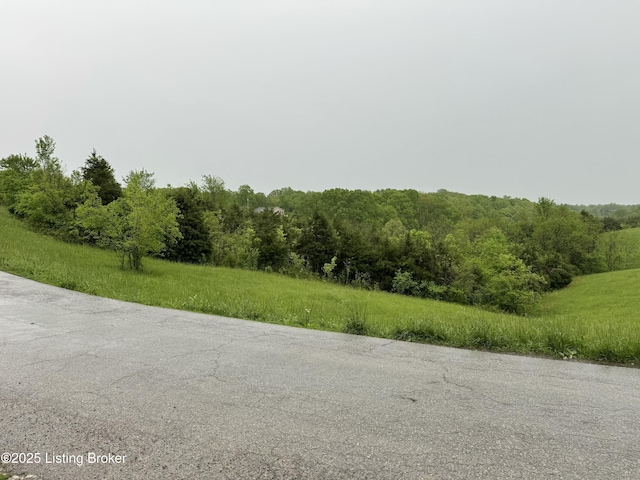 TRACT2 Smitha Rd, Mount Eden, KY 40046 - photo 11