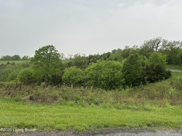 TRACT2 Smitha Rd, Mount Eden, KY 40046 - photo 10