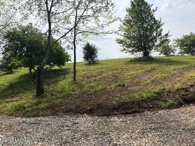 2051 Chaplin Taylorville Rd, Bloomfield, KY 40008