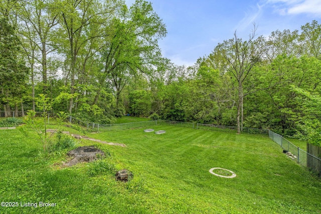 view of yard