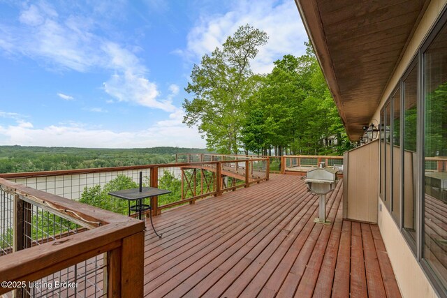 116 Lisa Dr, Brandenburg, KY 40108 - photo 45