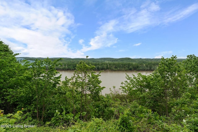116 Lisa Dr, Brandenburg, KY 40108 - photo 78