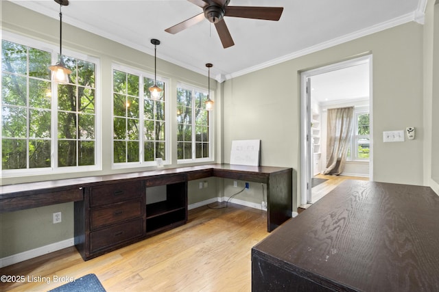 504 Kinglan Rd, Louisville, KY 40207 - photo 18