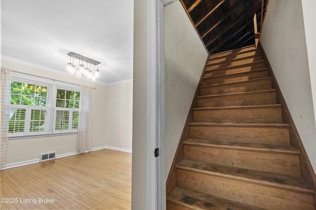 504 Kinglan Rd, Louisville, KY 40207 - photo 37
