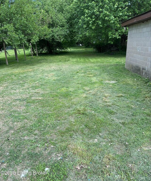 4105 N Ln, Louisville, KY 40216 - photo 36