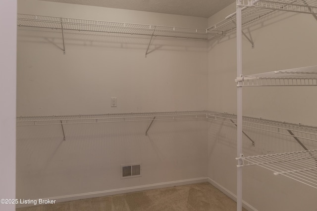 5503 Vevia Pl, Louisville, KY 40272 - walk in closet with carpet flooring