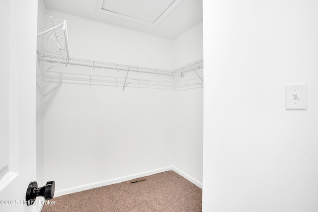 walk in closet featuring visible vents and carpet