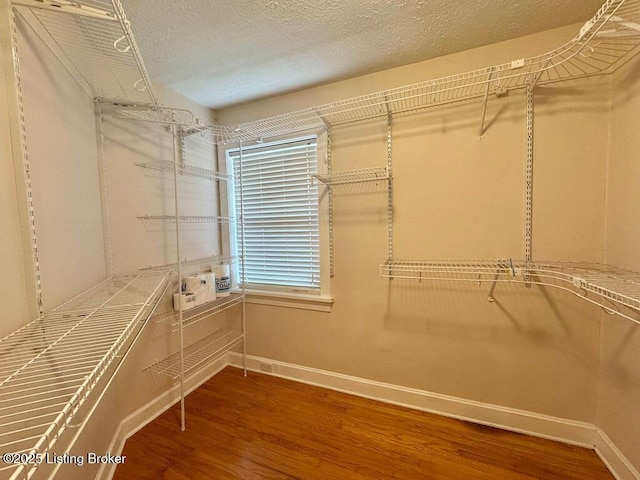 walk in closet featuring wood finished floors