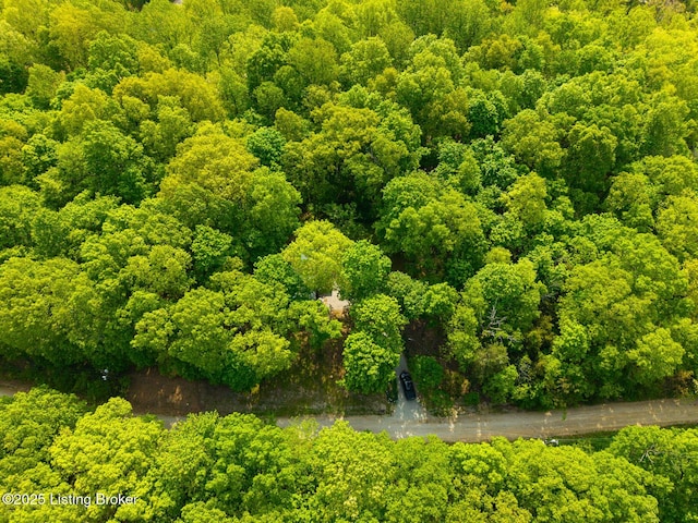 340 Cherry Pass, New Haven, KY 40051 - aerial view