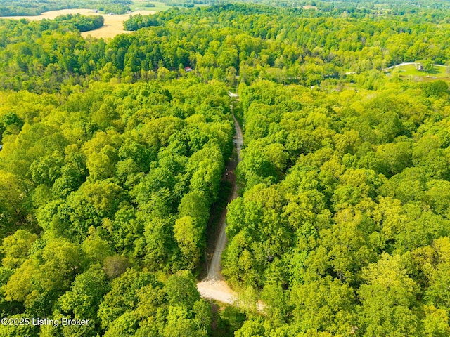 340 Cherry Pass, New Haven, KY 40051 - aerial view of a forest