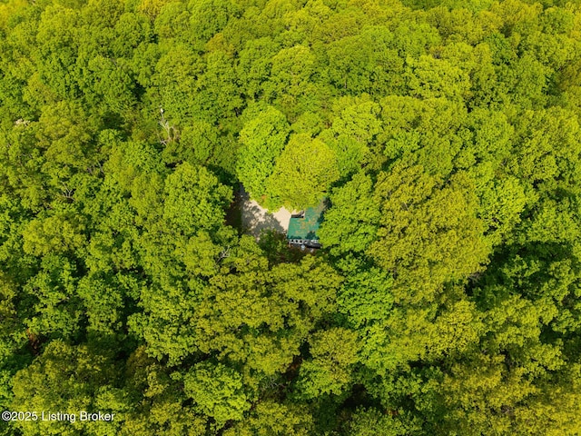 340 Cherry Pass, New Haven, KY 40051 - drone / aerial view of a forest