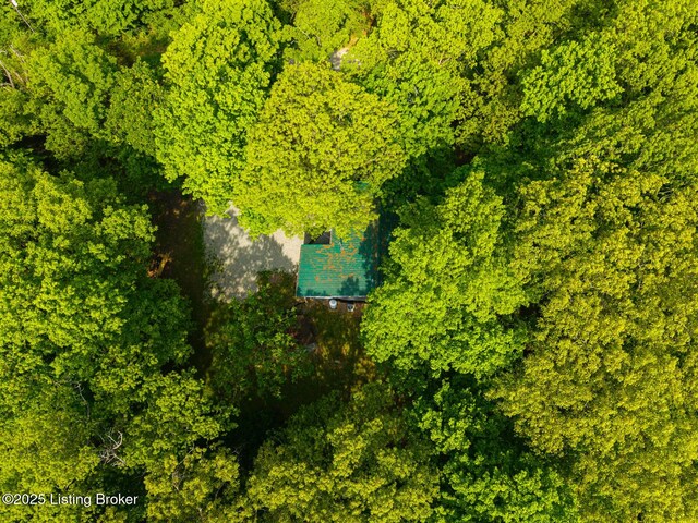 340 Cherry Pass, New Haven, KY 40051 - view from above of property