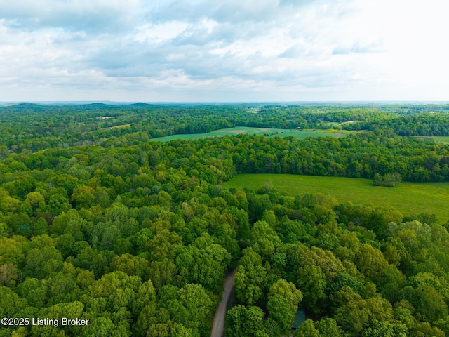 340 Cherry Pass, New Haven, KY 40051 - bird's eye view of a forest