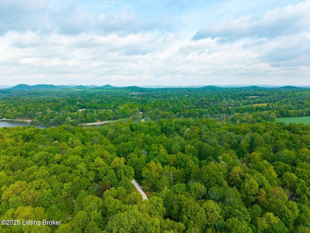 340 Cherry Pass, New Haven, KY 40051 - aerial view of a heavily wooded area and a nearby body of water