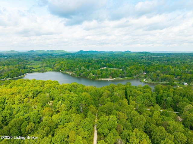 340 Cherry Pass, New Haven, KY 40051 - bird's eye view of a forest and a nearby body of water