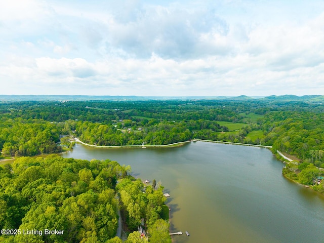 340 Cherry Pass, New Haven, KY 40051 - aerial view of a forest and a large body of water
