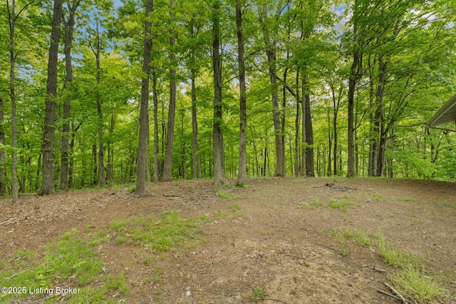 340 Cherry Pass, New Haven, KY 40051 - view of local wilderness