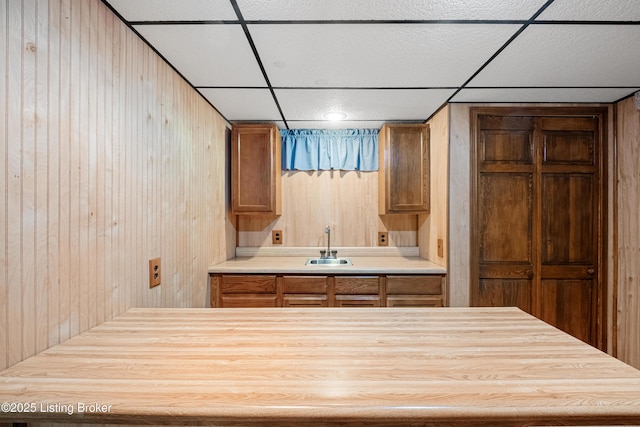 interior space featuring vanity, wood walls, and a paneled ceiling