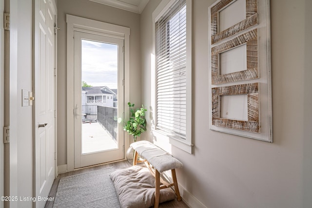 9410 Norton Comnons Blvd, Prospect, KY 40059 - doorway with baseboards, healthy amount of natural light, and ornamental molding