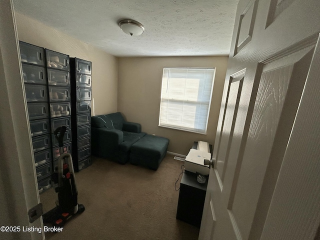 3611 Kiki Ct, Louisville, KY 40219 - living area featuring carpet flooring and a textured ceiling