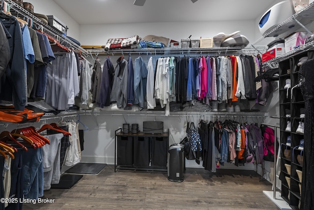 walk in closet with wood finished floors