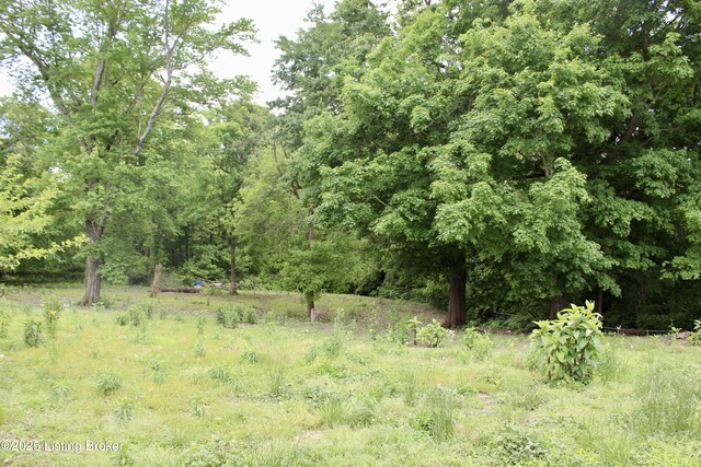 4618 River Front Dr, Louisville, KY 40216 - photo 24