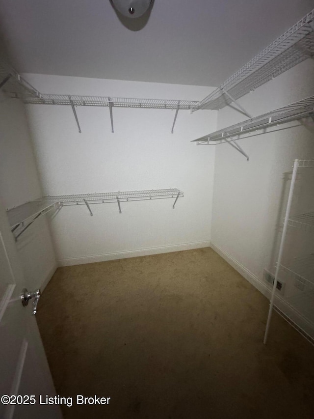 walk in closet featuring carpet
