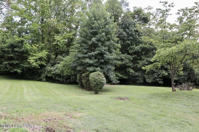 519 Knobview Dr, Lebanon Junction, KY 40150 - photo 24