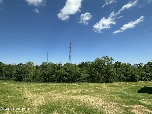 383 Webb Ln, Bedford, KY 40006 - view of local wilderness