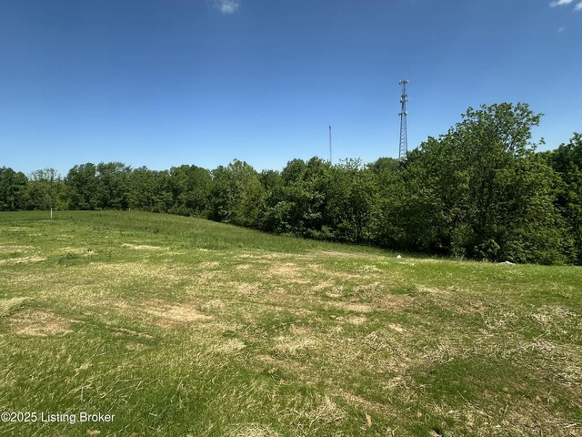 383 Webb Ln, Bedford, KY 40006 - view of local wilderness