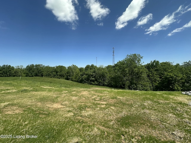 383 Webb Ln, Bedford, KY 40006 - view of undeveloped land