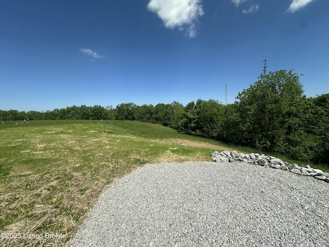 383 Webb Ln, Bedford, KY 40006 - view of yard