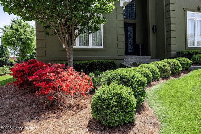 view of property exterior featuring stucco siding