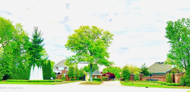 view of home's community