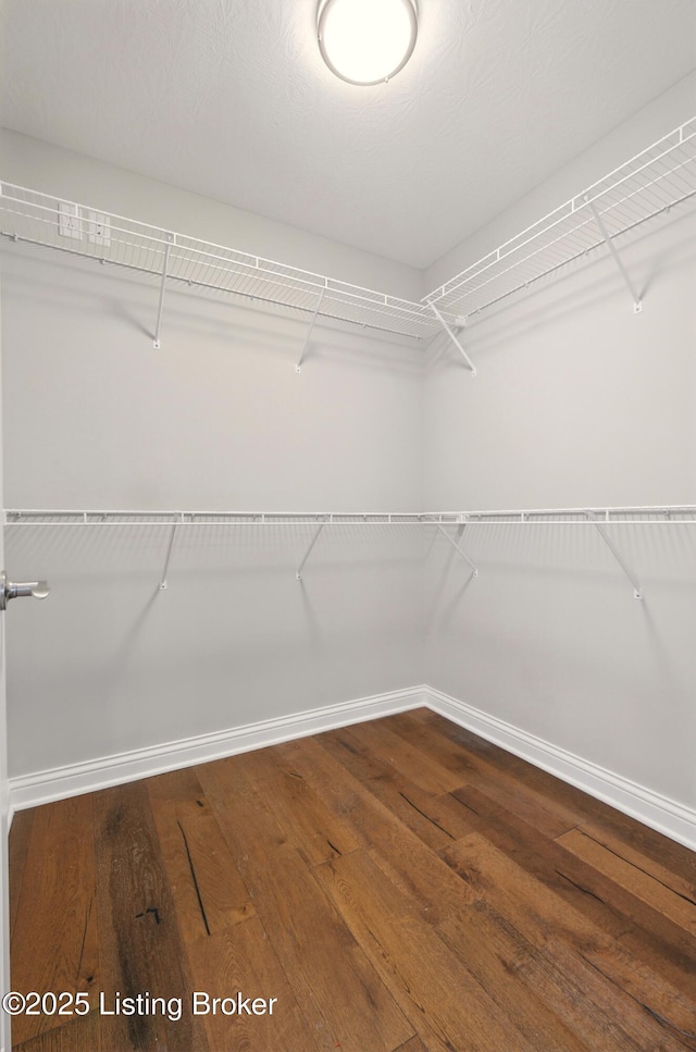 105 Hollow Springs Dr, Bardstown, KY 40004 - spacious closet with wood-type flooring