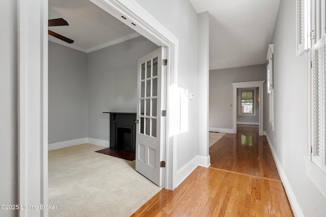 1905 Stevens Ave, Louisville, KY 40205 - photo 7