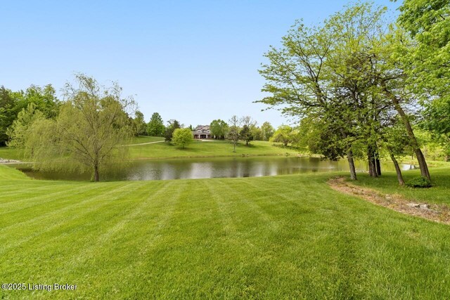 18220 Bridgemore Ln, Louisville, KY 40245 - photo 83