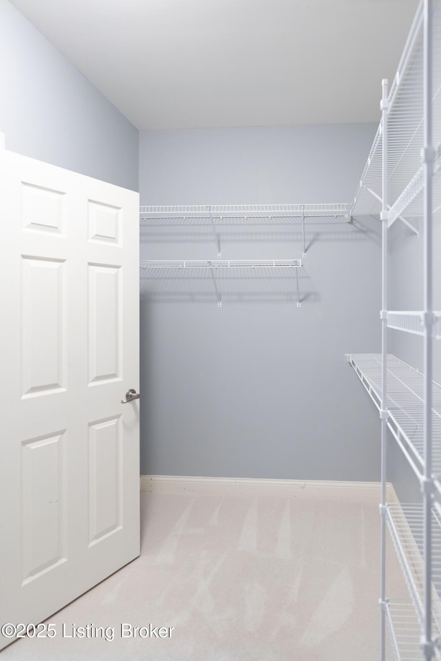 walk in closet featuring carpet floors