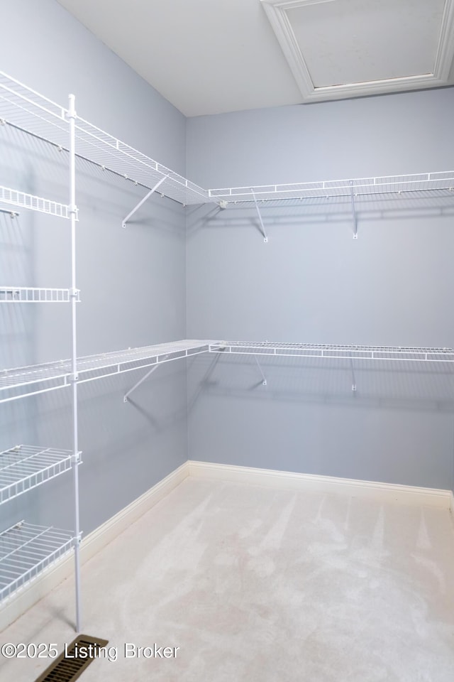 walk in closet with carpet